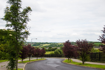 Campos verdes de Irlanda