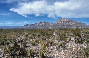 Landschaft in Mexico