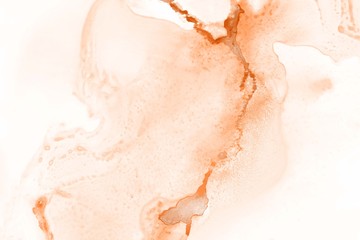 Fototapeta premium Orange alcohol ink texture with abstract washes and paint stains on the white paper background. 