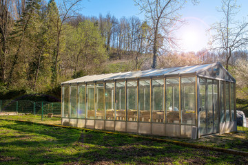 Backlit view of the exterior of a glasshouse in a green lawn with a woody hill in the background and lens flares, Piedmont, Italy