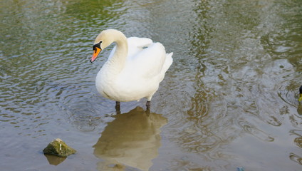 Ganz im Park