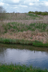 Obraz premium Scenic view at Fiskerton Fen