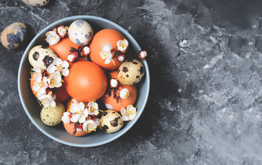 Eggs and Branches in Blossom, Easter Holiday Background