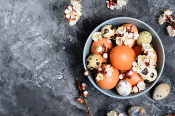 Eggs and Branches in Blossom, Easter Holiday Background