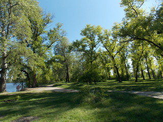 Fototapeta premium path in park