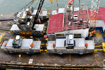 Mules at Panama Canal