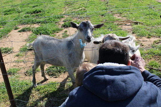 984 Best Famile Images Stock Photos Vectors Adobe Stock