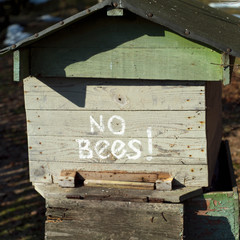 No bees in beehive