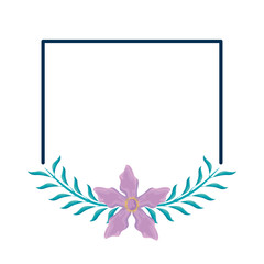 Fototapeta na wymiar frame with beautiful flower and leafs