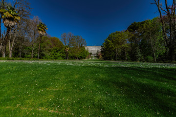 PALACIO Real Madrid 