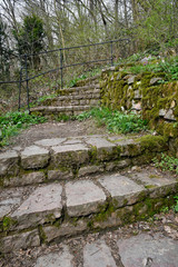 treppe im wald