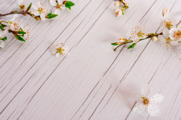 Spring time, Easter, flowers background. Beautiful flowers of wild plum on the white, wooden table. Spring concept with space for text,...