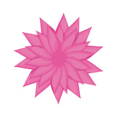 beauty flower isolated icon