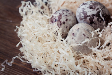 Paschal colored eggs in the nest. Easter decoration