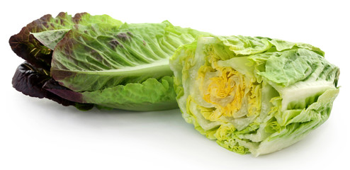 Fresh Romaine lettuce