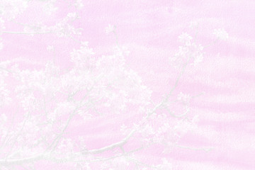 Romantic blossom sakura flower petals.Sakura branch in springtime with falling petals.