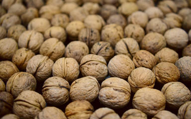A good harvest of walnuts