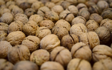 A good harvest of walnuts laid out to dry