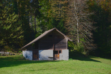 Fototapeta na wymiar An old farm stable on the edge of the forest