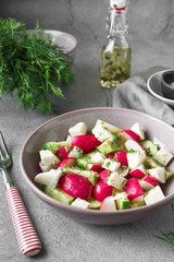 Radish, cucumber, kiwi, cheese and dill salad in a bowl on gray grunge concrete background. Seasonal Cooking, food styling.