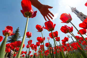 Fototapety na wymiar - Fototapeta24.pl