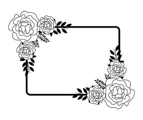 frame with beautiful flowers nature