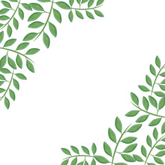 Fototapeta premium frame of branches with leafs natural