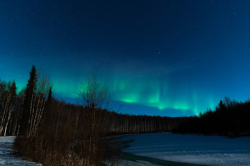 winter landscape with trees and aurora borealis 