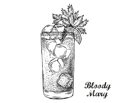 Bloody Mary cocktail hand drawn.