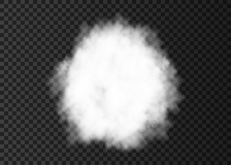 Explosion  smoke spiral  track isolated on transparent background.