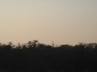 ciel
