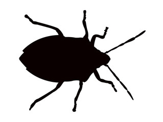 an insect body silhouette vector