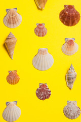 Yellow bright background with nautical decor