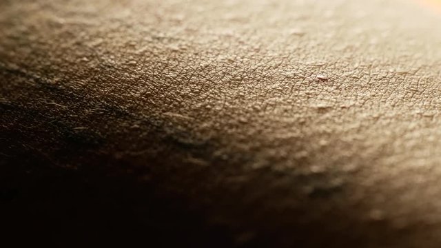 Extreme macro of nearly hairless human skin texture with unrecognizable tattoo, moving focus, asian woman mid 20s
