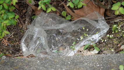 Plastikmüll in der Natur
