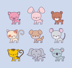 Obraz premium cute rabbit with group animals