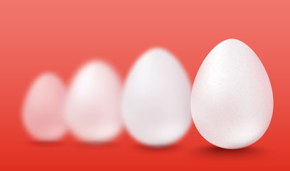 Vector white eggs