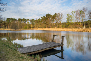 jezioro w lesie © Piotr Szpakowski