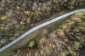Lonely road through a forest is seen from the air