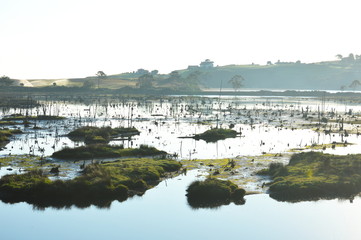 Wetlands of La Rabia, Cantabria