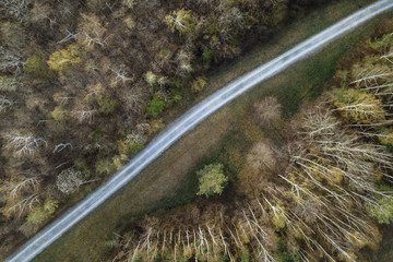Lonely road through a forest is seen from the air