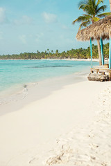 tropical nature, the Caribbean Sea, palm trees, the island, the Dominican Republic, boats.