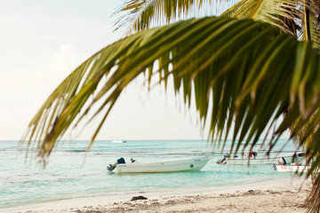 tropical nature, the Caribbean Sea, palm trees, the island, the Dominican Republic, boats.