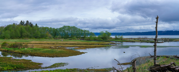 Beautiful Tidelands Puget Sound