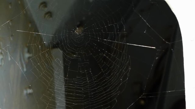 A hand held, extreme close up shot of a spider web dancing in the wind of the day. 