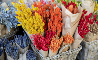 Natural plant dried flowers home decoration eternal flower bouquets of floral grass multicolored gems, lavender, spikelets of oat and wheat in the flowers bar.