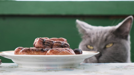British cat looks at a plate of fried sausages on the table, wants to steal.