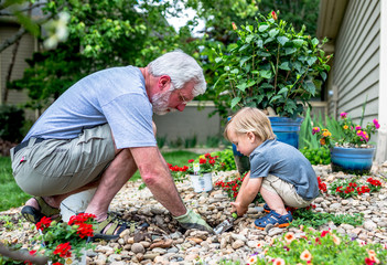 Grandfather and Grandson Spend Time together Bonding in a Home Garden