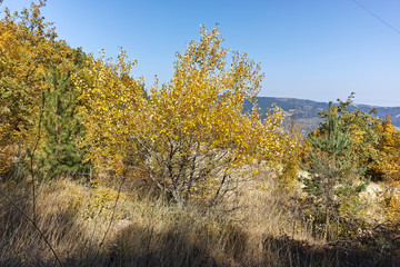 Fototapeta premium Amazing Autumn landscape of Ruen Mountain - northern part of Vlahina Mountain, Kyustendil Region, Bulgaria