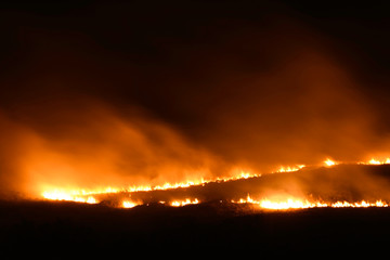 Fototapeta na wymiar Running Wildfire Burning In Field With Smoke, Pretoria, South Africa